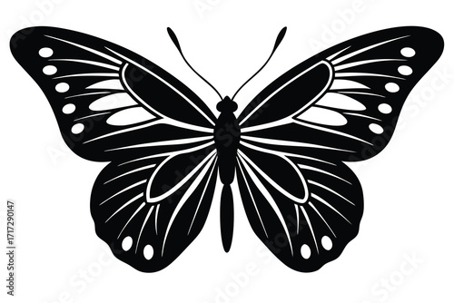 butterfly silhouette vector icon design