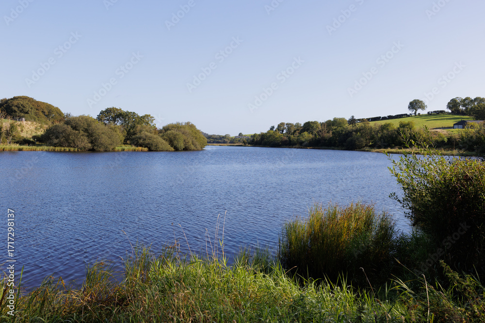 Fototapeta premium sunny morning Quoile River landscape, Northern Ireland.