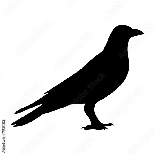 Crow Silhouette Icon of Standing Bird-Black silhouette of a crow standing in profile view, symbolizing bird, wildlife, nature, mystery, or dark gothic aesthetic.