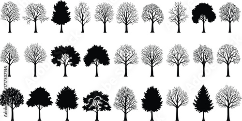 Tree silhouette vector set with diverse canopy and branch shapes for forest, nature, seasonal, botanical, landscape, and design themes