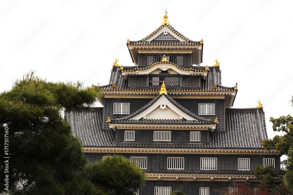 Fototapeta premium Okayama Castle