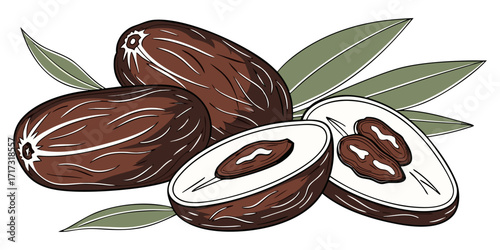Generate a high-quality, detailed image of an assortment of dried fruits and nuts spread across a wooden surface. Include dates, almonds, walnuts, dried apricots, and prunes, with a natural, rustic fe