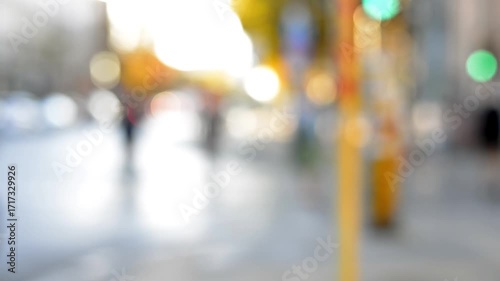 people walking in the city