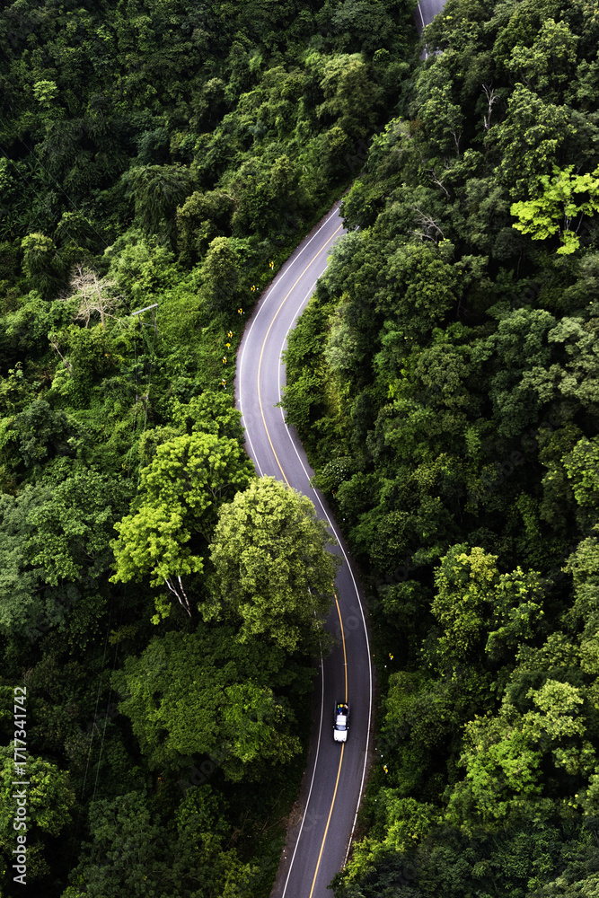 Φωτογραφία Adventure morning road trip in the forest, electric vehicle driving on asphalt road through green forest