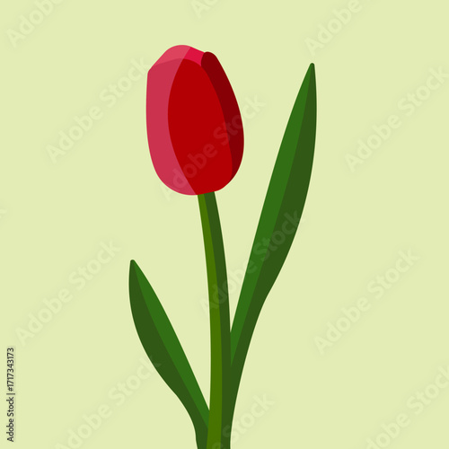 Bright Red Tulip Illustration With Green Stem And Leaves On Pale Background