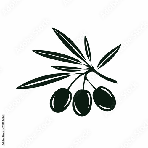 olive branch with olives