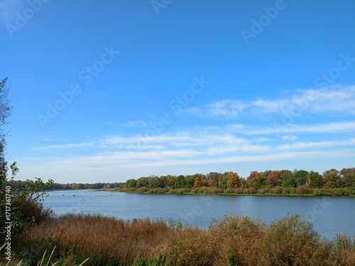 lake in the forest