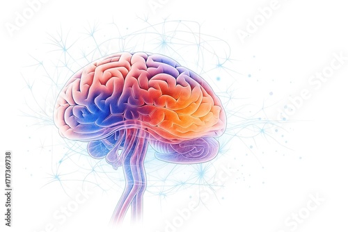 The Human Brain: A vibrant illustration of the human brain, showcasing intricate neural networks, creativity, memory, and the essence of human intelligence and the mind's boundless capacity. 