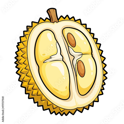 Half durian fruit illustration showing inner flesh and spiky outer shell.