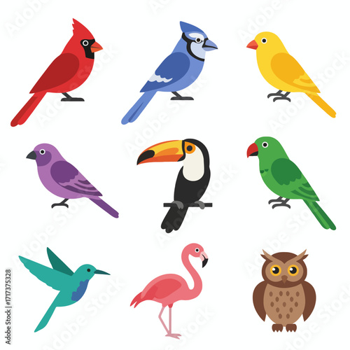 Colorful Wildlife Birds Flat Icon Set on a White Background