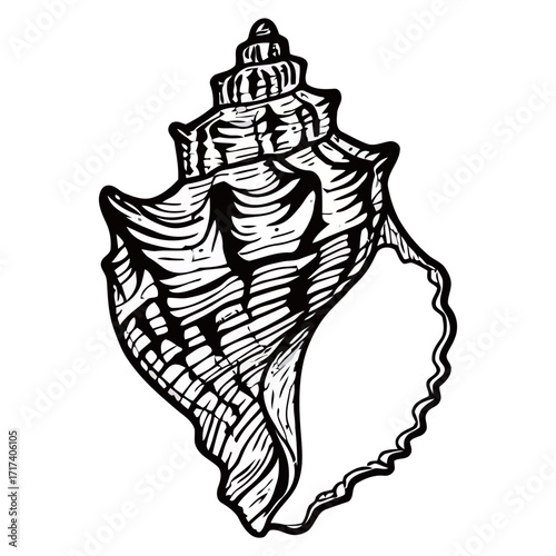 black and white silhouette of a seashell vector on a white background