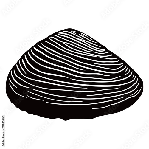 black and white silhouette of a seashell vector on a white background