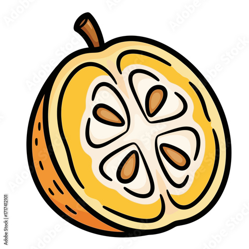 Cut kumquat illustration showing seeds and pulp on a white background.