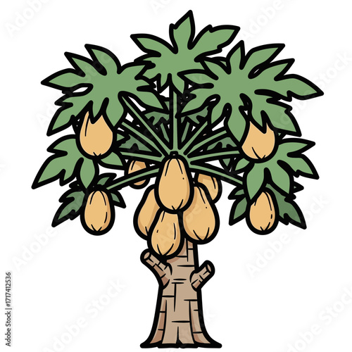 Cartoon papaya tree with green leaves and several ripe fruits illustration.