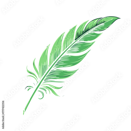 Green feather vector illustration elegant style graphic art design element