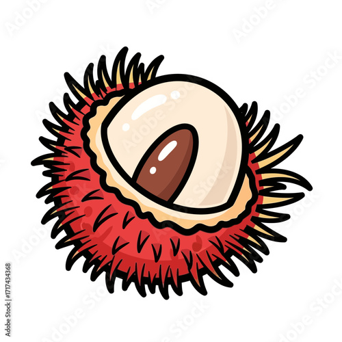 Cut rambutan fruit with red spiky skin and white flesh illustration.