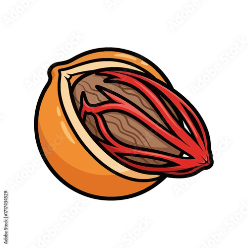 Half nutmeg illustration with brown shell and red seed on white background.