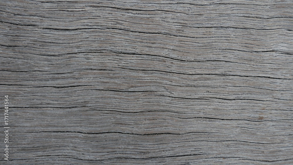 Fototapeta premium old wood texture