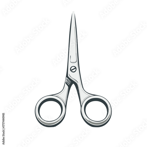 Precision Metal Scissors with Silver Handles and Sharp Blades