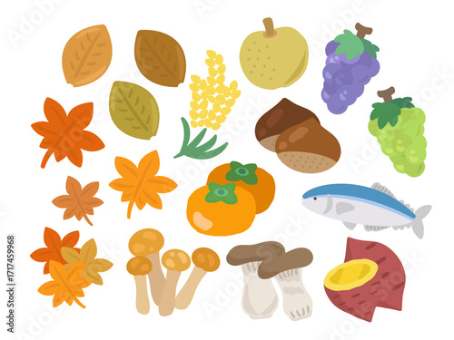 秋の味覚　イラストセット