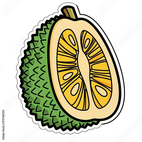 Half cut jackfruit with green spiky skin and yellow flesh illustration.
