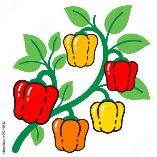 Colorful bell peppers on a vine with green leaves illustration on white.