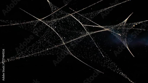 Abstract digital artwork of light particles and streaks against a black background