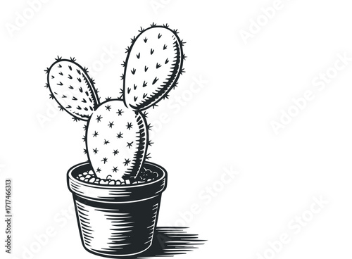 Potted prickly pear cactus with a playful silhouette. Vector hand drawn illustration