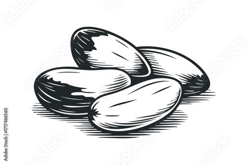 Piles of Peanuts in Black and White Style. Vector hand drawn illustration