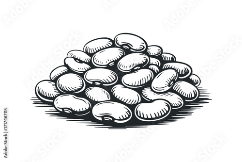 Pile of Dried Beans. Vector hand drawn illustration