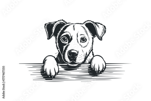Cute dog peeking over a fence with paws resting. Vector hand drawn illustration