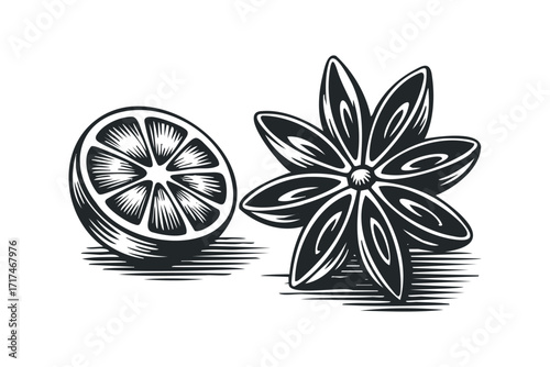Woodcut Style Slice of Citrus Fruit and Star Anise. Vector hand drawn illustration