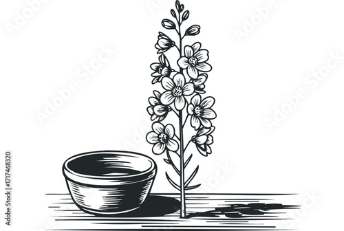 Stylized blooming flower with pedestal bowl. Vector hand drawn illustration