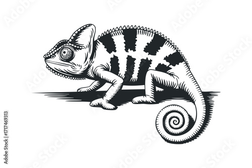 Chameleon coiled on a horizontal surface with textured skin. Vector hand drawn illustration