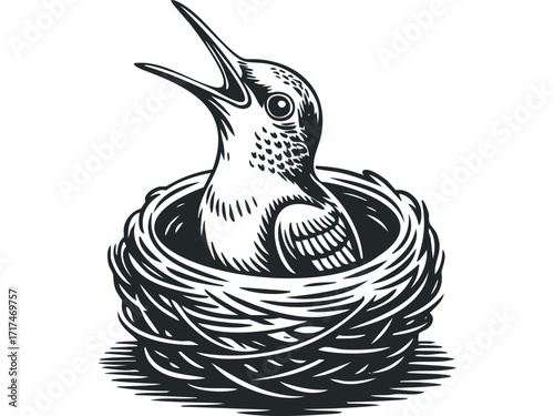 Birdling in nest chirping for food. Vector hand drawn illustration