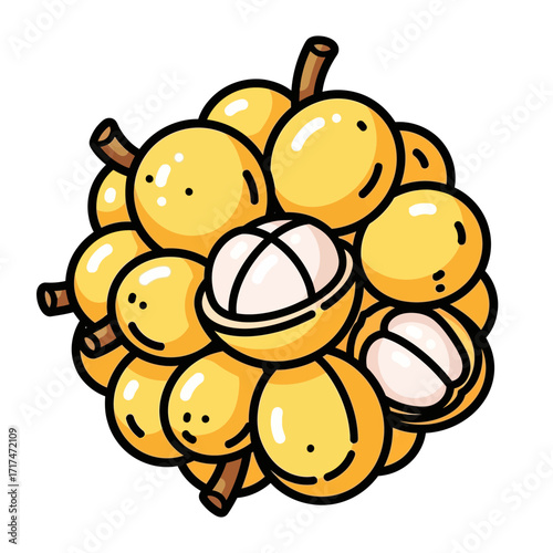 Bunch of longan fruits with one partially peeled showing white flesh.
