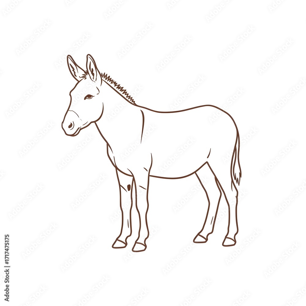 Obraz premium horse isolated on white background