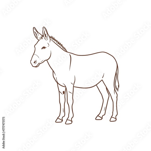 horse isolated on white background