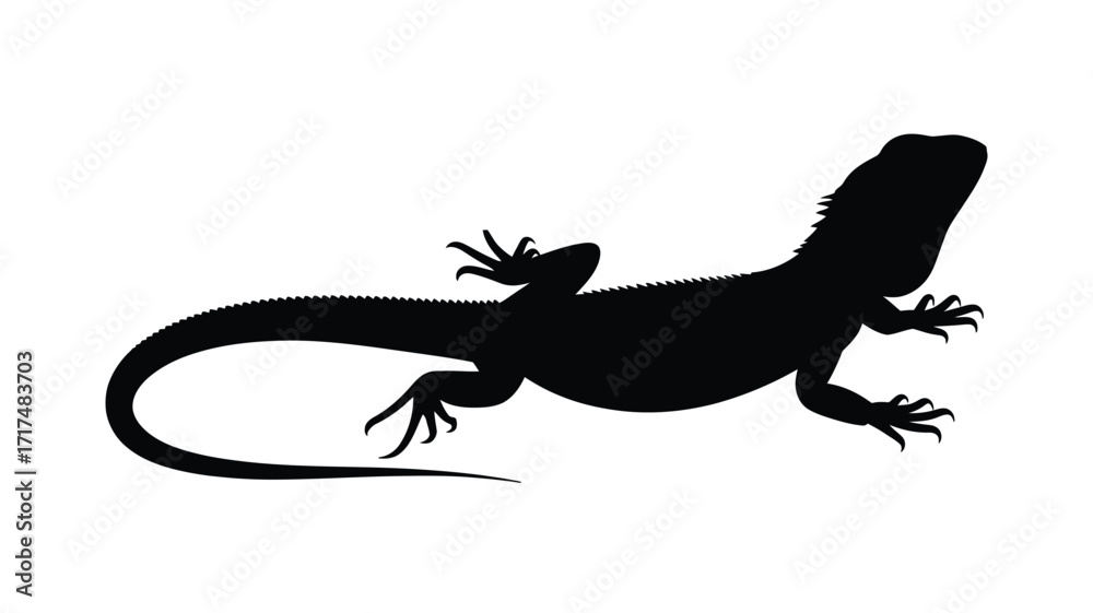 Naklejka premium Silhouette of a bearded dragon lizard on a white background