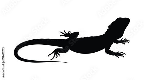 Silhouette of a bearded dragon lizard on a white background