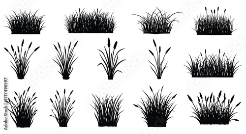 Collection of various black silhouette grass and reed plant illustrations