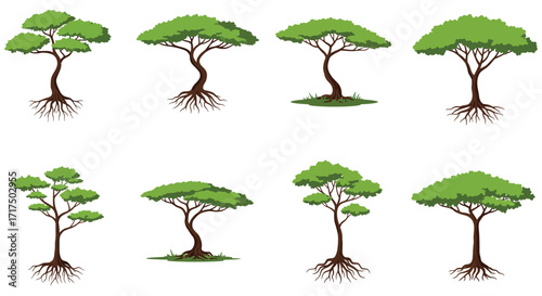 Collection of diverse green trees with visible root systems illustrated simply