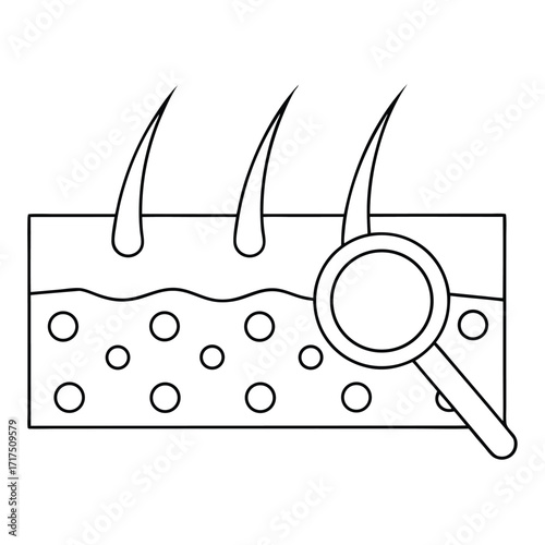 Skin layer with hair follicles and magnifying glass