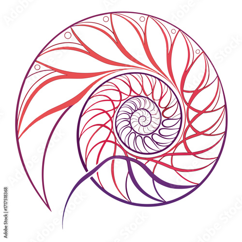 Intricate nautilus shell spiral pattern in vibrant red and purple hues on a white background