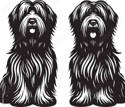Briard Dog in Black and White – Elegant French Herding Breed Photography