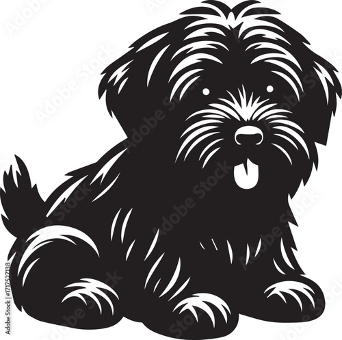 Briard Dog in Black and White – Elegant French Herding Breed Photography