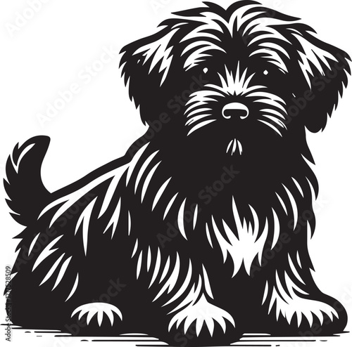 Briard Dog in Black and White – Elegant French Herding Breed Photography