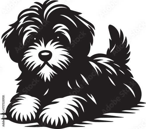 Briard Dog in Black and White – Elegant French Herding Breed Photography