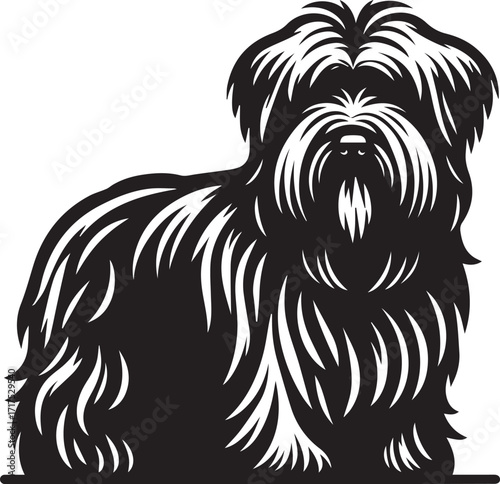 Briard Dog in Black and White – Elegant French Herding Breed Photography