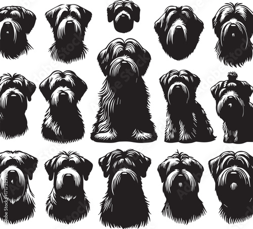 Briard Dog in Black and White – Elegant French Herding Breed Photography